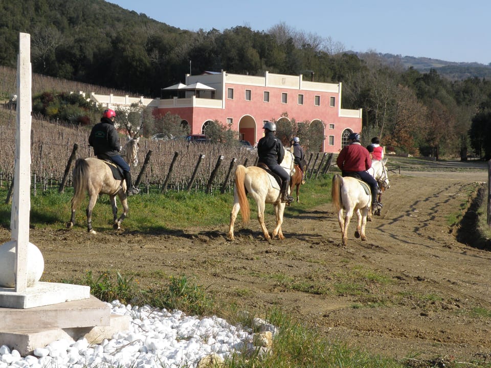 Horseback riding