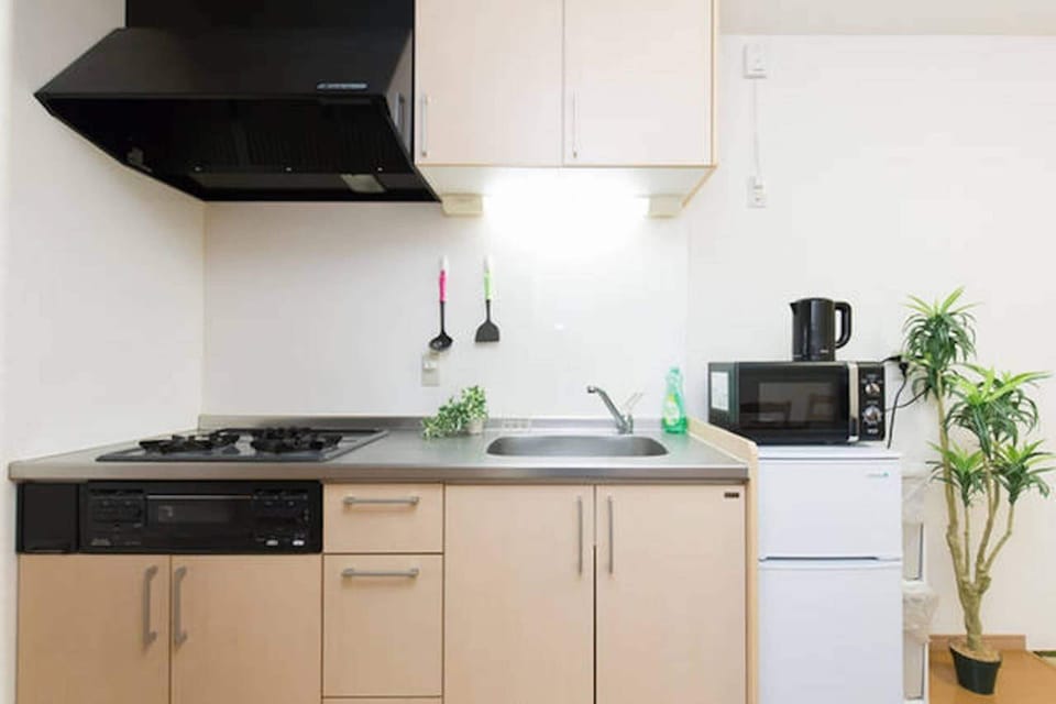 Fridge, microwave, stovetop, electric kettle