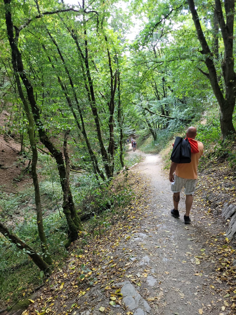 Hiking