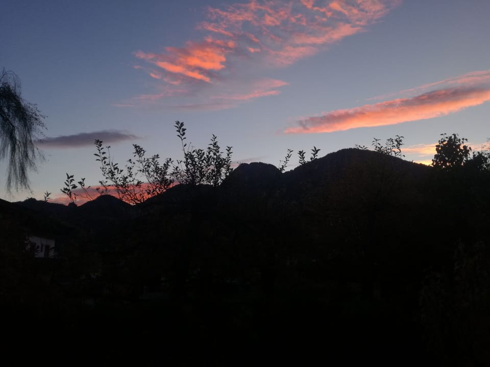 View from room