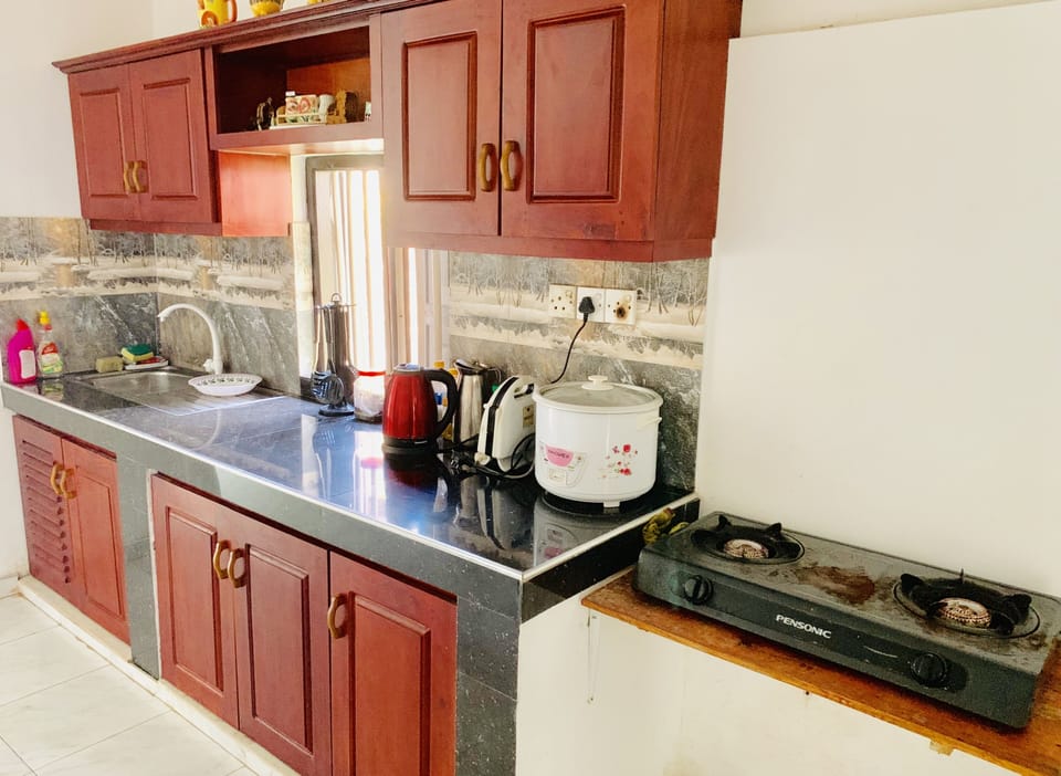 Full-size fridge, oven, stovetop, dishwasher
