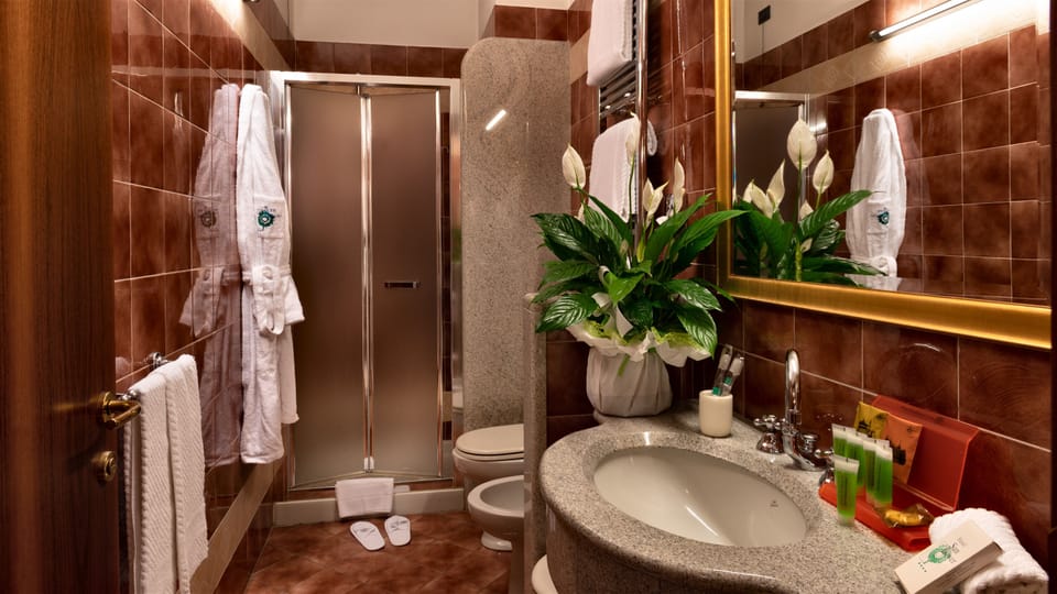 Shower, free toiletries, hair dryer, slippers