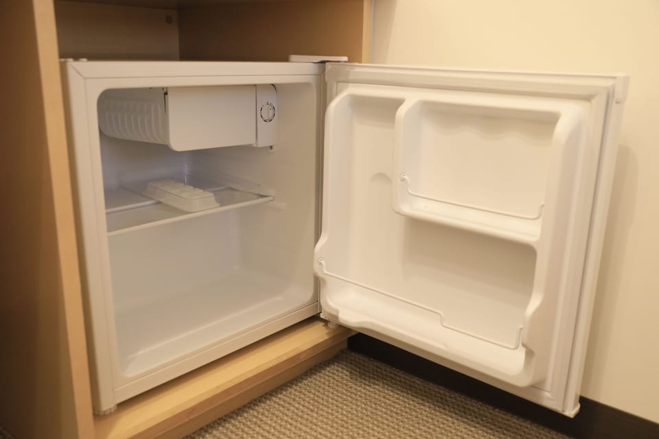Mini-refrigerator