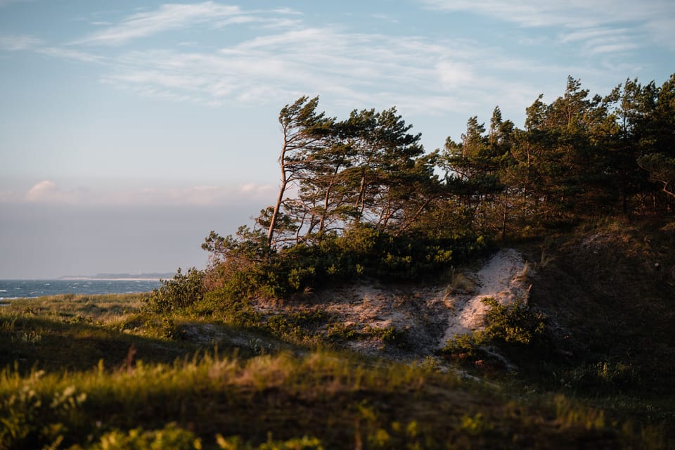 Hiking