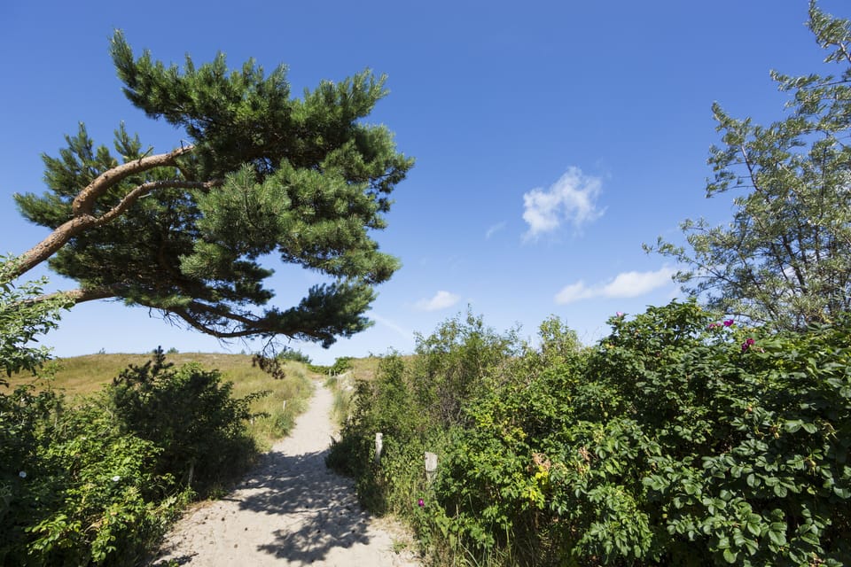 Hiking
