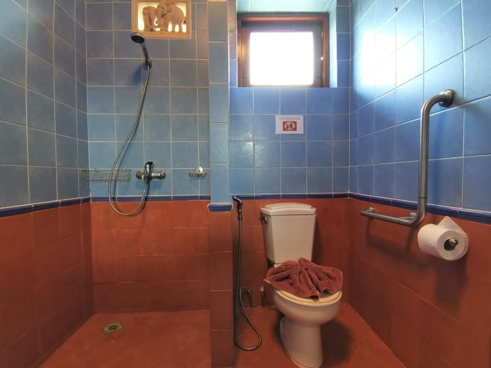 Shower, towels
