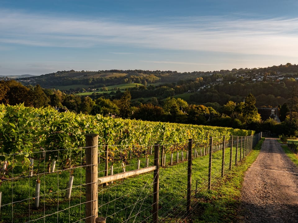 Winery