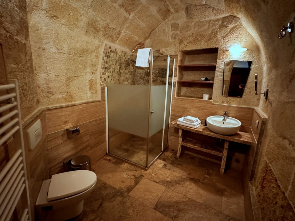 Deluxe Suite | Bathroom | Shower, rainfall showerhead, free toiletries, hair dryer
