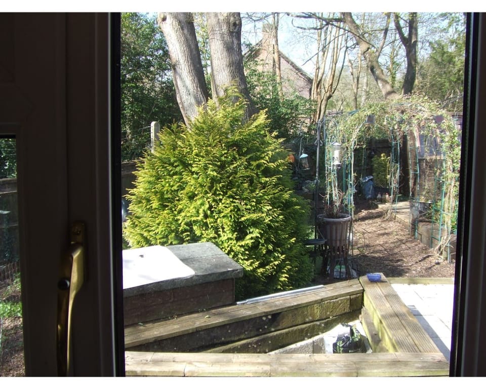 Comfort Apartment, Private Bathroom, Garden View (Queens Rd Rental: 3 Rooms) | View from property
