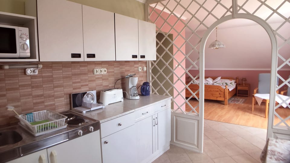Apartment with Balcony | Private kitchen | Full-size fridge, microwave, stovetop, coffee/tea maker