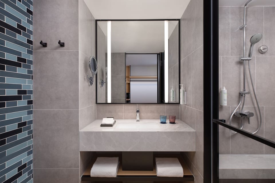 Shower, hair dryer, towels