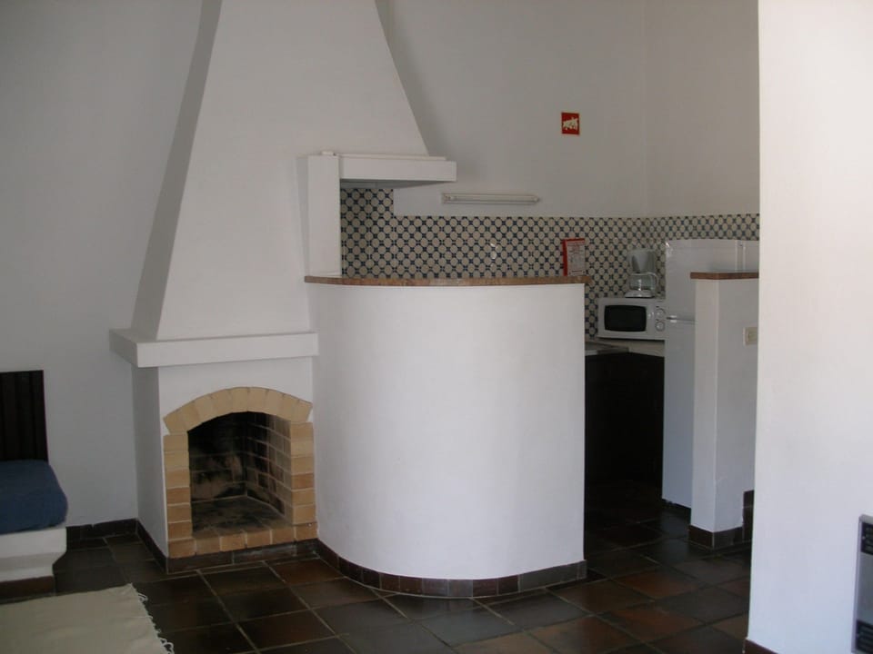 Apartment, 2 Bedrooms | Private kitchenette | Full-size fridge, microwave, coffee/tea maker, electric kettle