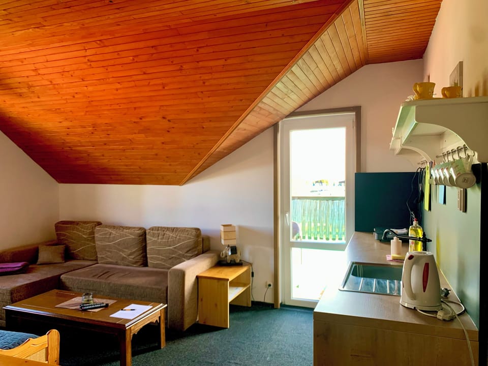 Studio | Living area | TV