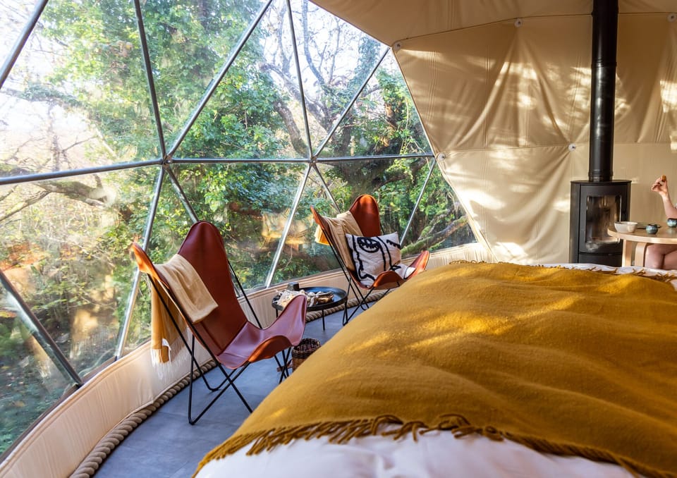 Luxury Tree House, Ensuite (Treehouse Dome) | Interior