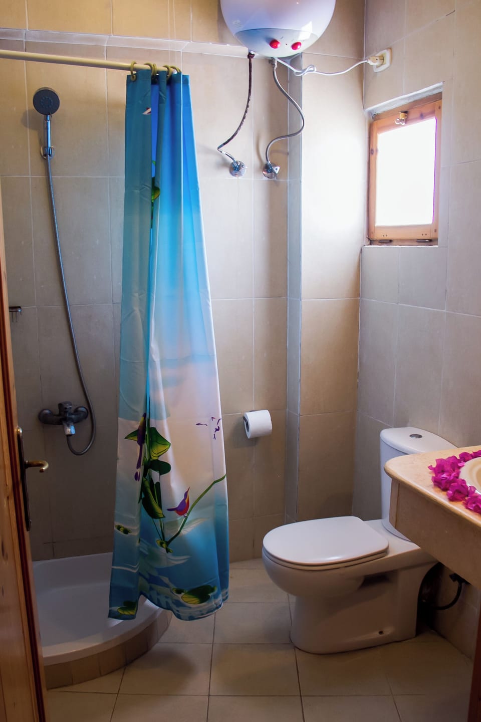 Standard Double or Twin Room | Bathroom | Shower, free toiletries, hair dryer, bidet