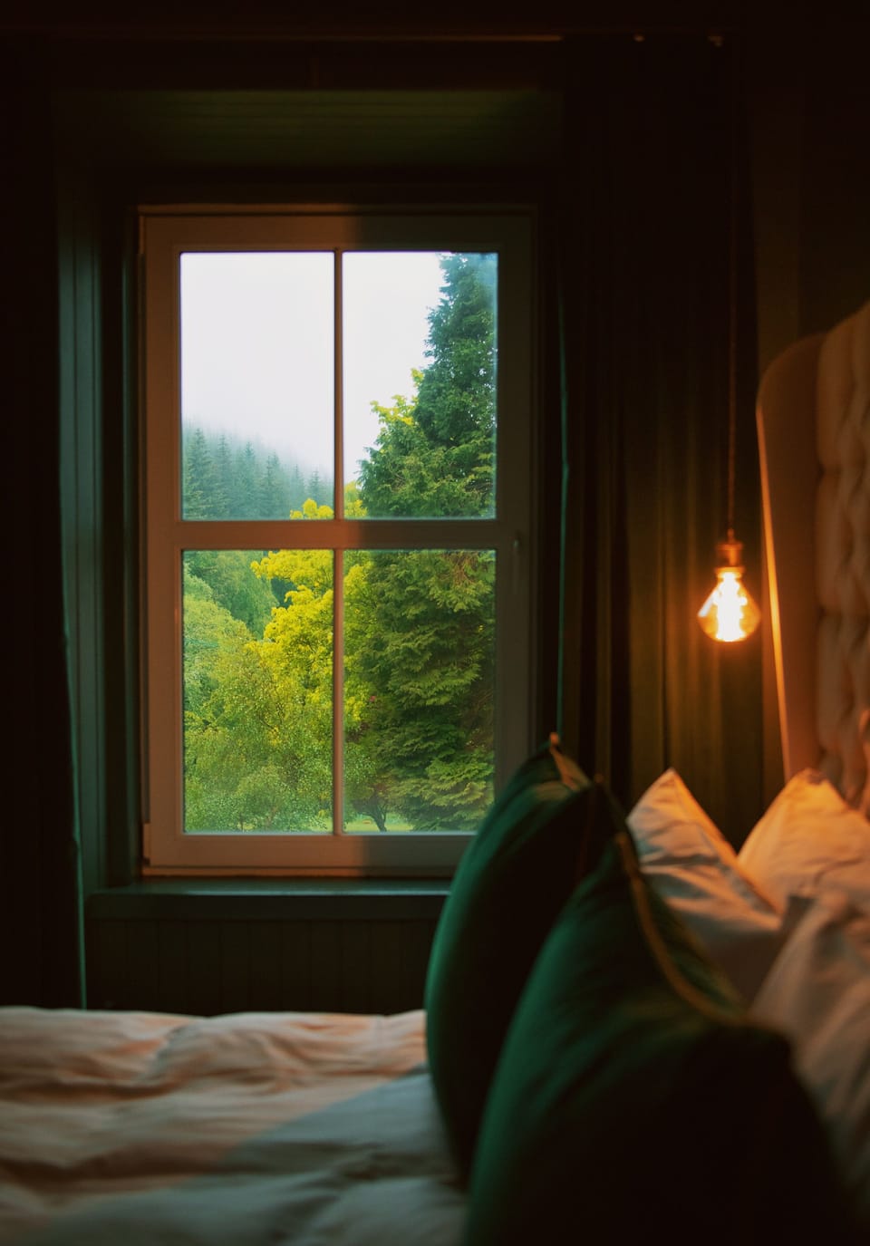 Double Room, Partial Lake View (Room 1) | Hypo-allergenic bedding, pillowtop beds, individually decorated