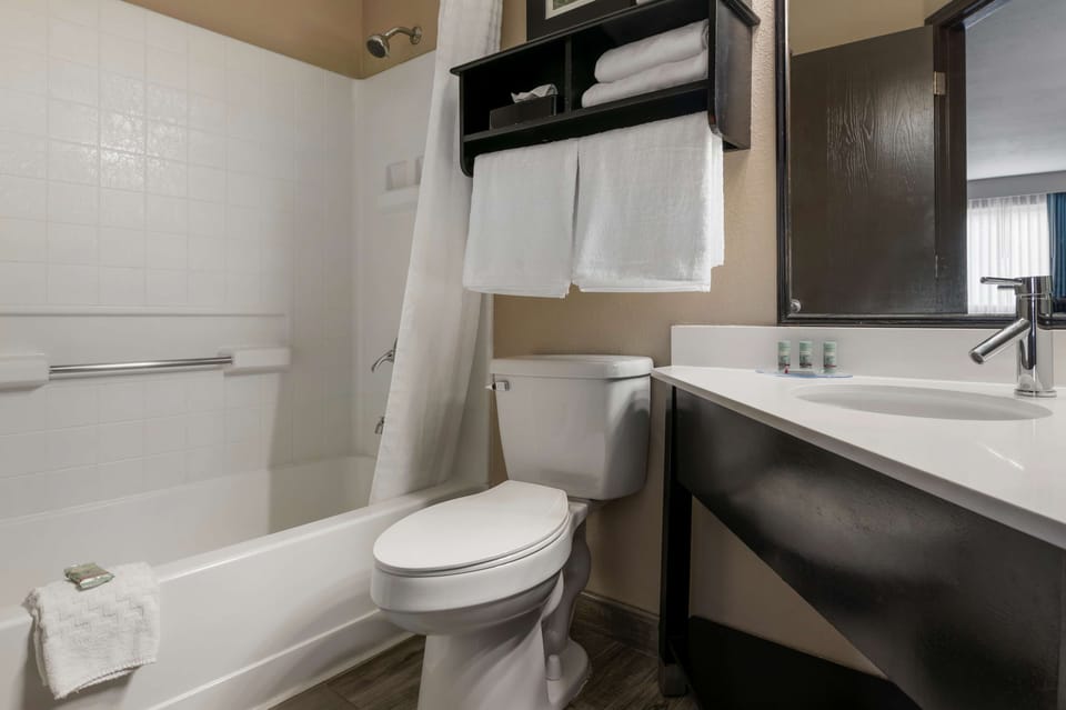 Combined shower/tub, free toiletries, hair dryer, towels