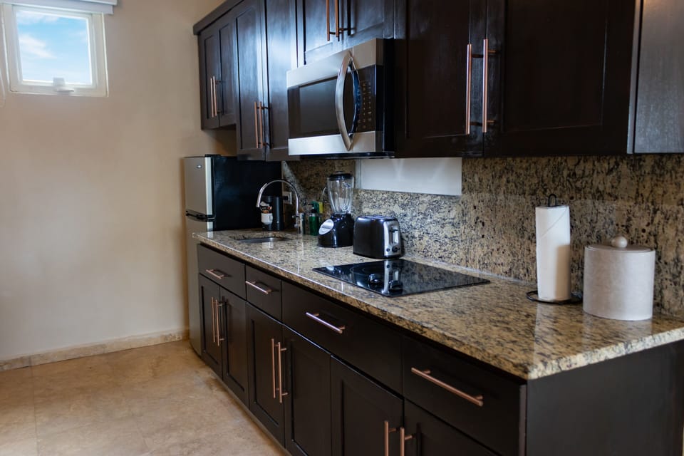 Deluxe Suite | Private kitchen | Microwave, coffee/tea maker