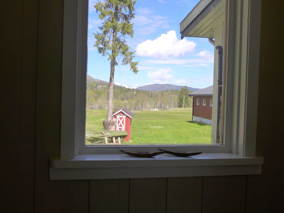View from room