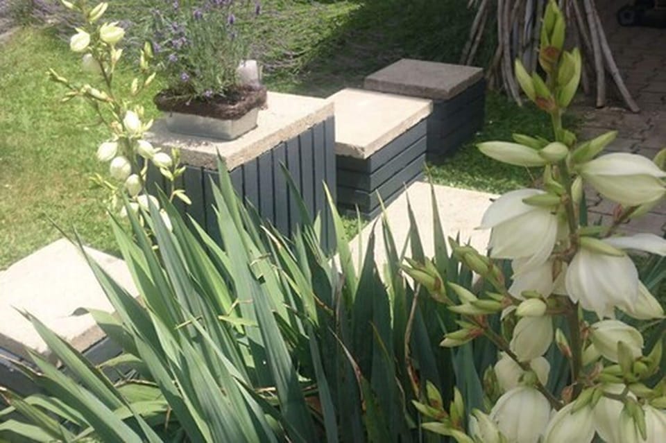 Design Studio, Balcony, Garden View (B'nB) | View from room