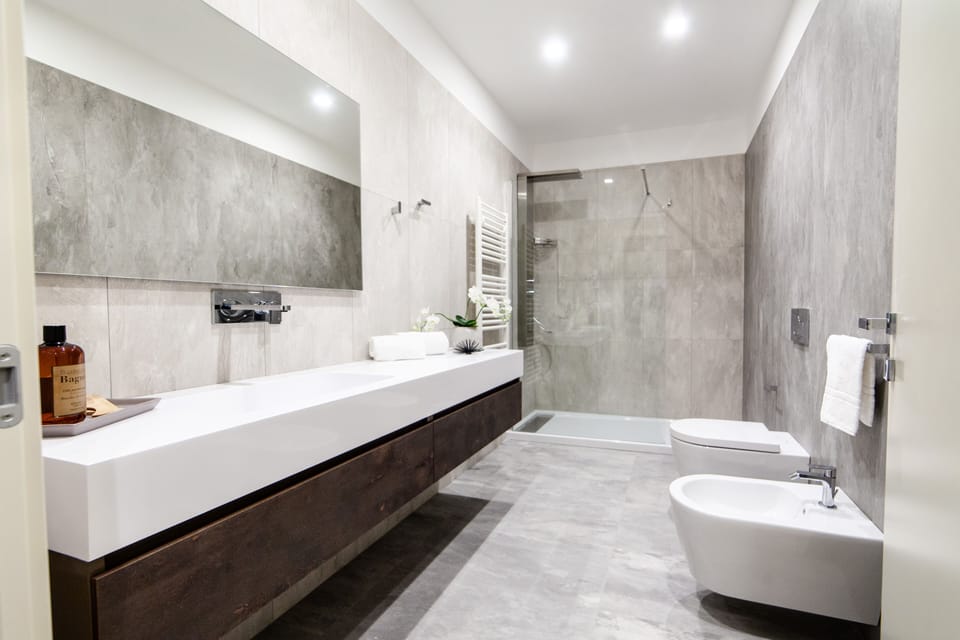 Suite | Bathroom | Shower, rainfall showerhead, free toiletries, hair dryer