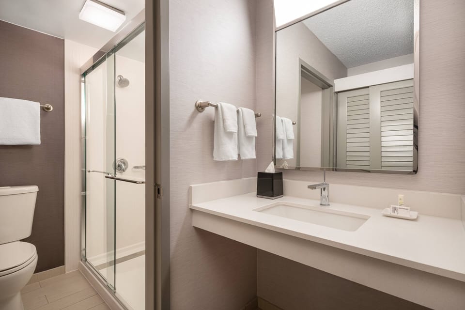 Combined shower/tub, free toiletries, hair dryer, towels