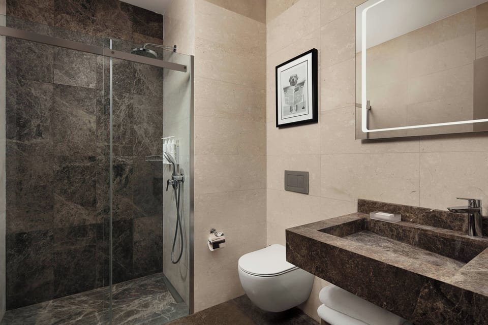 Suite, 1 King Bed with Sofa bed | Bathroom | Shower, free toiletries, hair dryer, bathrobes