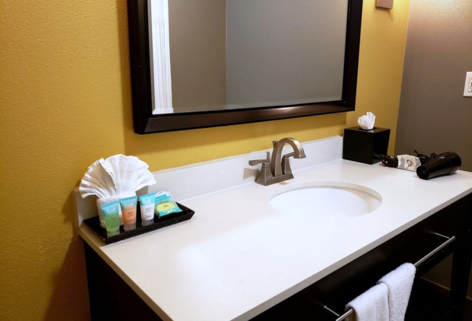 Standard Accessible Room | Bathroom | Eco-friendly toiletries, hair dryer, towels