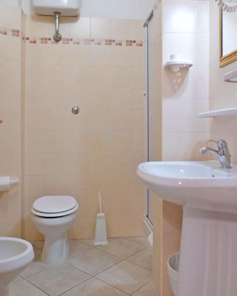 Shower, free toiletries, hair dryer, bidet