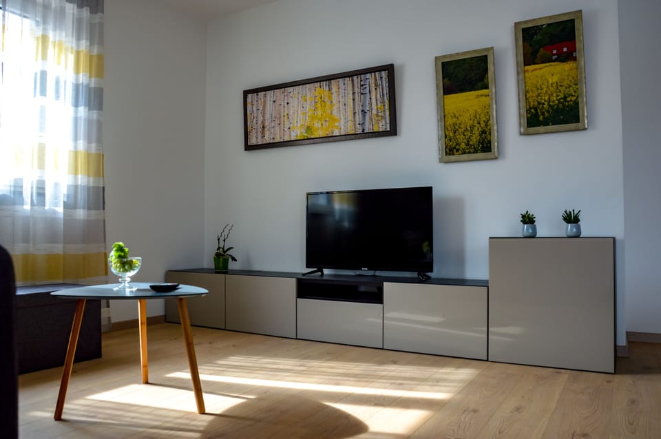 Television