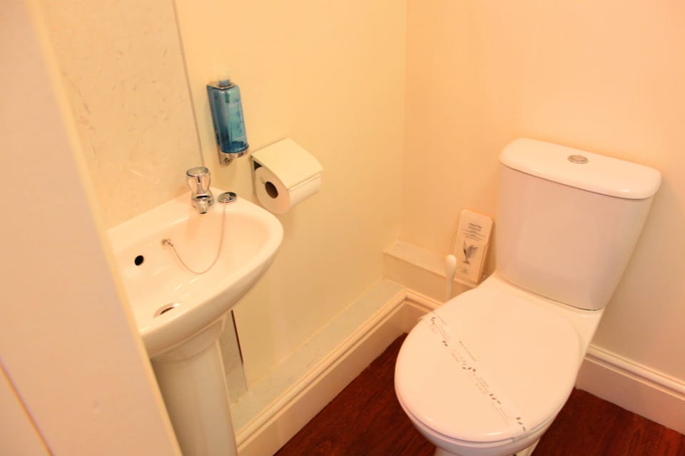 Single Room | Bathroom | Free toiletries, hair dryer, towels