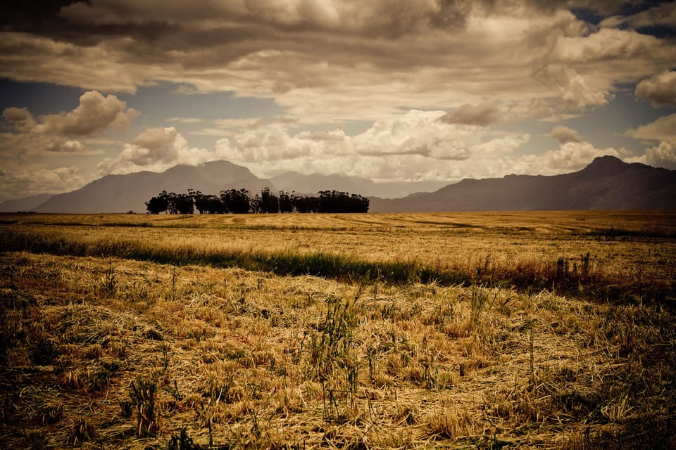 Mountain view
