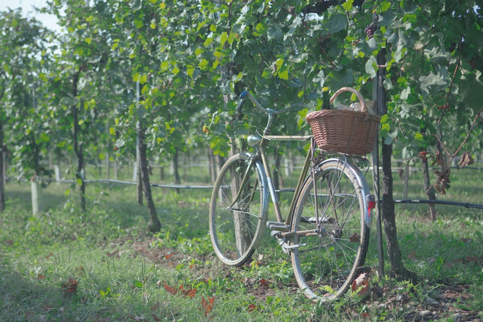 Bicycling