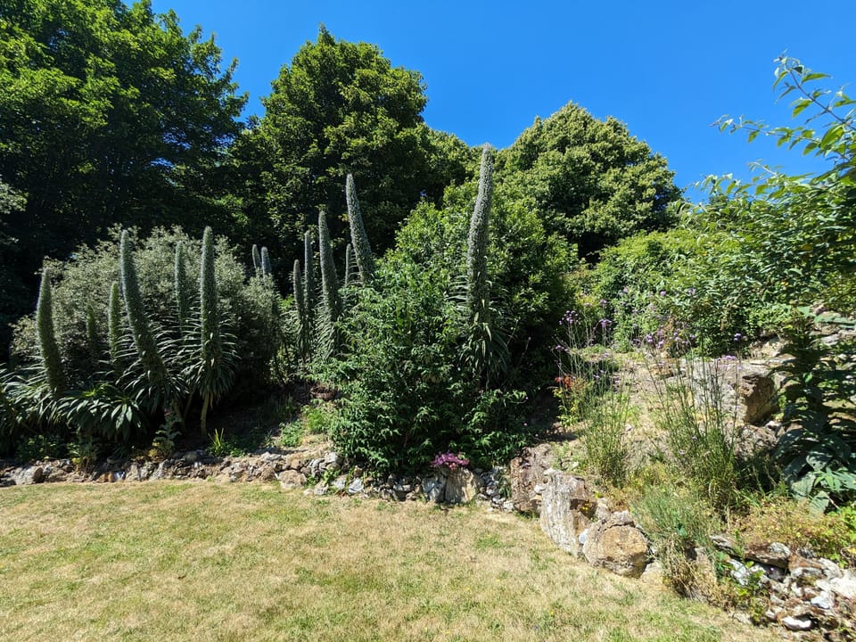 Cottage | Property grounds