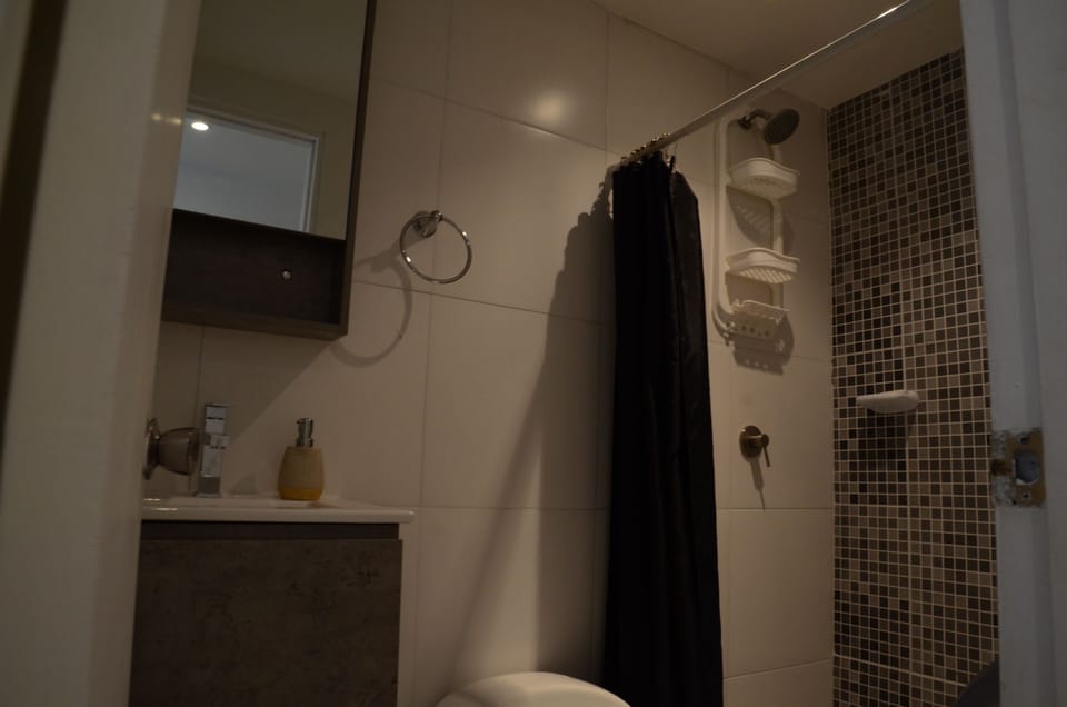 Standard Double Room | Bathroom | Shower, free toiletries, hair dryer, towels