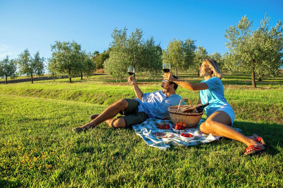 BBQ/picnic area