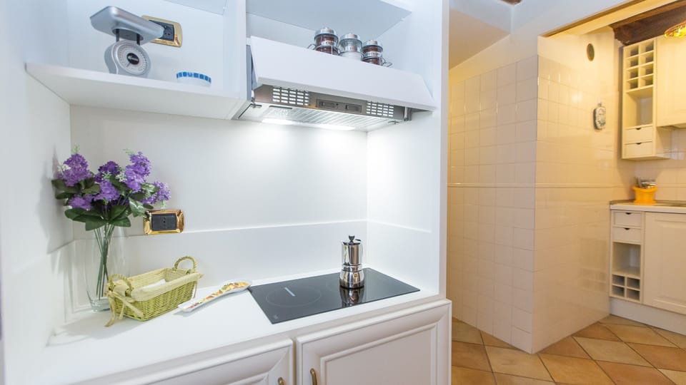 Apartment, 1 Bedroom | Private kitchenette | Full-size fridge, microwave, stovetop, espresso maker