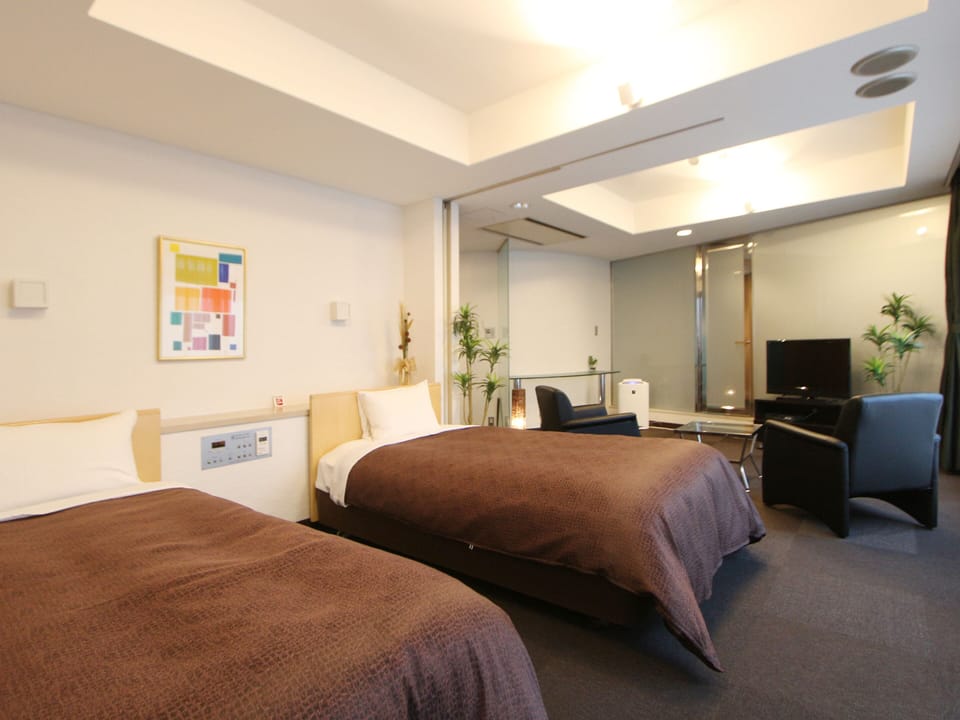 Executive Twin Room, Smoking | Iron/ironing board, free WiFi