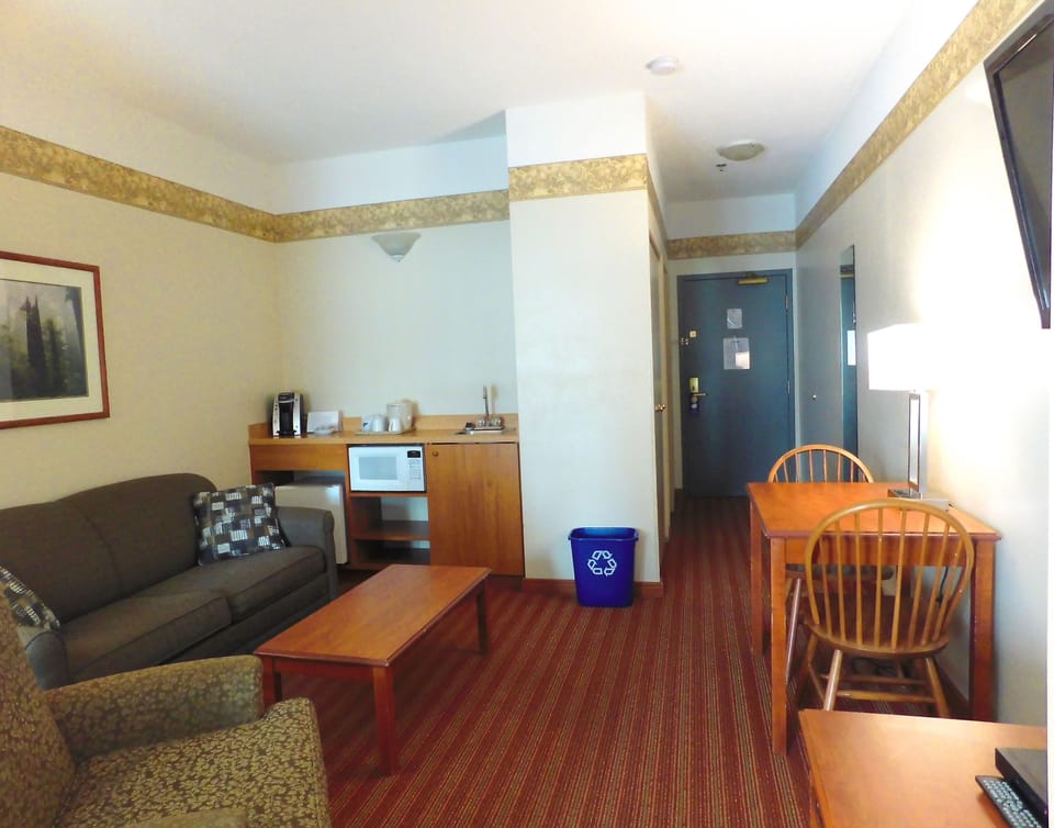 Suite, 1 Bedroom, Living Room with Double Sofa Bed | Living area | LCD TV, DVD player
