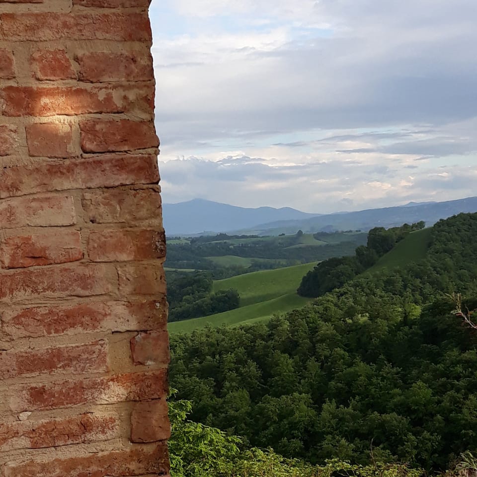 Land view from property