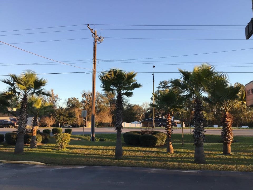 Standard Single Room, 1 King Bed | Garden view