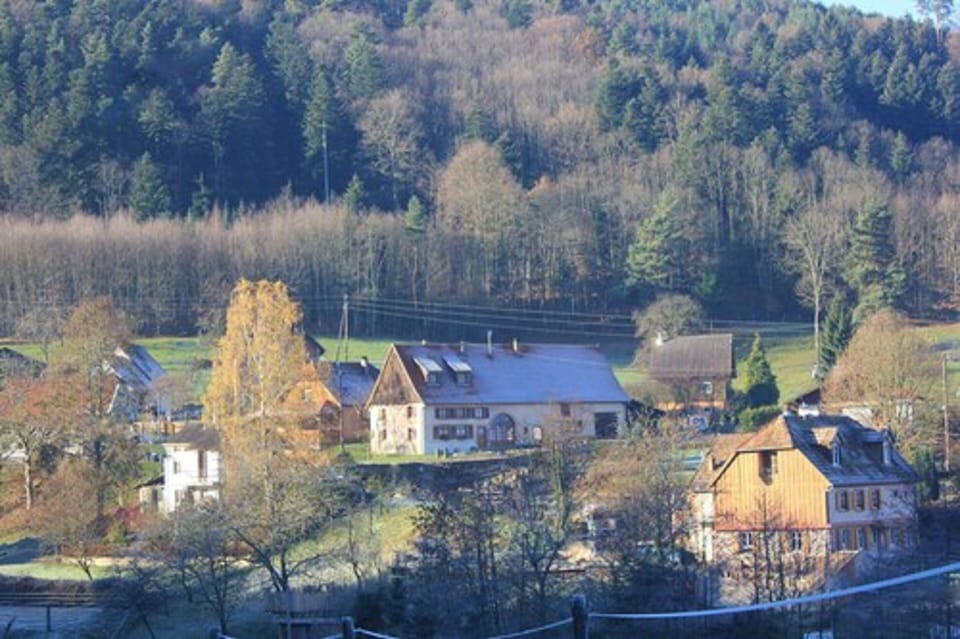Chambres d'Hotes A l'Ombre du Verger Bed and Breakfast in Grand Est