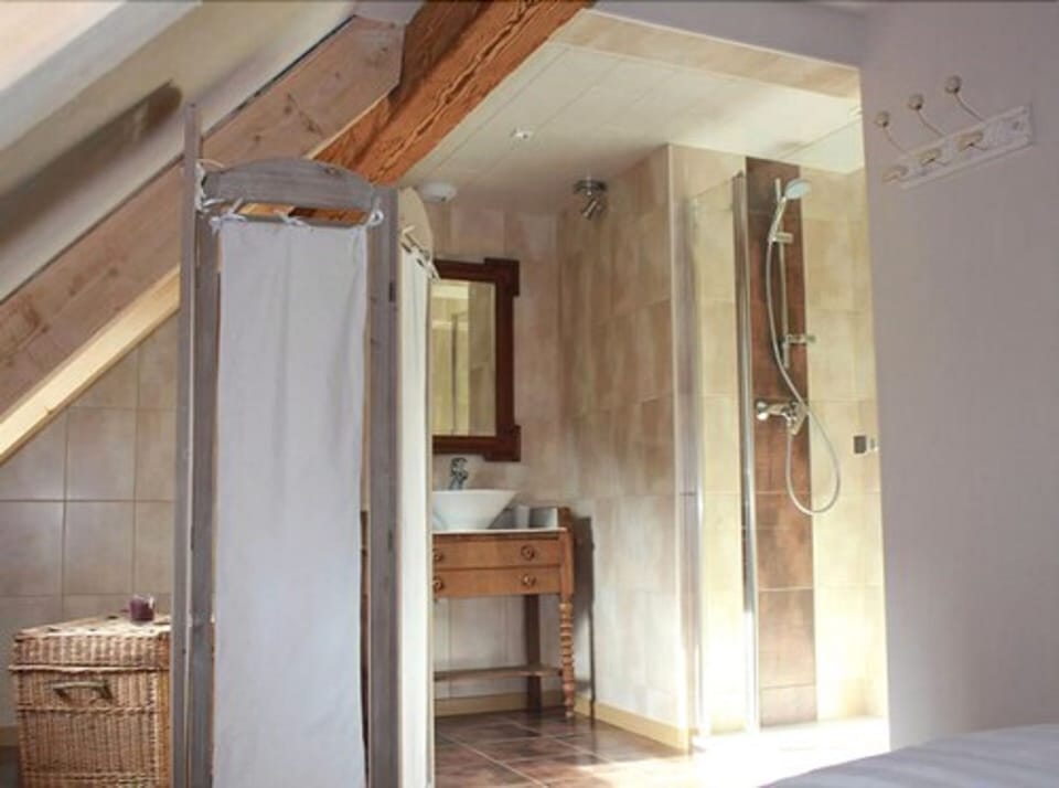 Family Suite (Prune) | Bathroom | Shower, free toiletries, hair dryer, towels