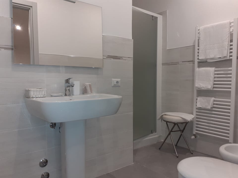 Shower, free toiletries, hair dryer, bidet