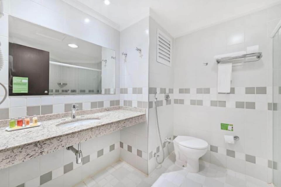 Superior Room | Bathroom | Free toiletries, towels