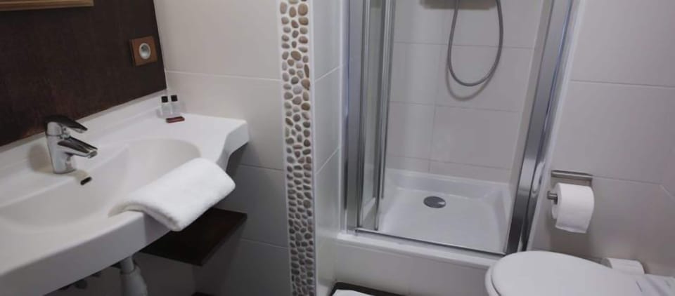 Double Room | Bathroom | Shower, free toiletries, hair dryer, towels