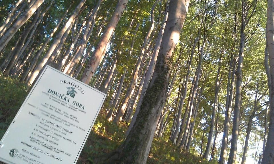 Hiking