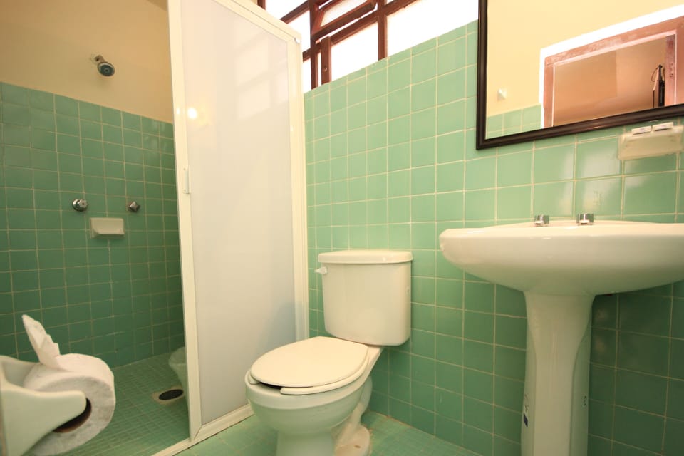 Shower, free toiletries, hair dryer (on request), towels