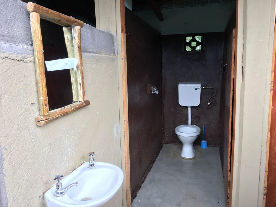 Shower, rainfall showerhead, towels, toilet paper
