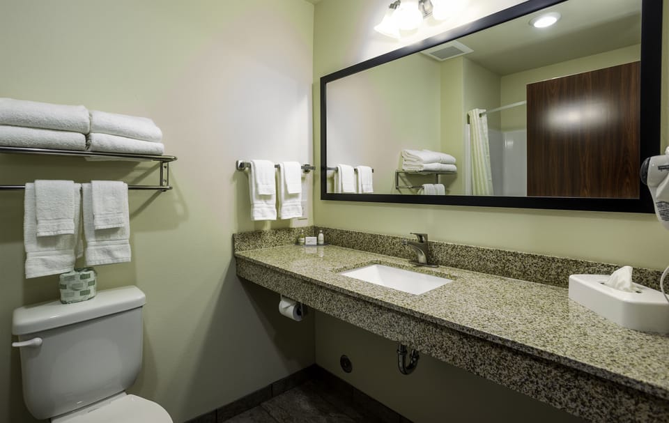 Combined shower/tub, free toiletries, hair dryer, towels
